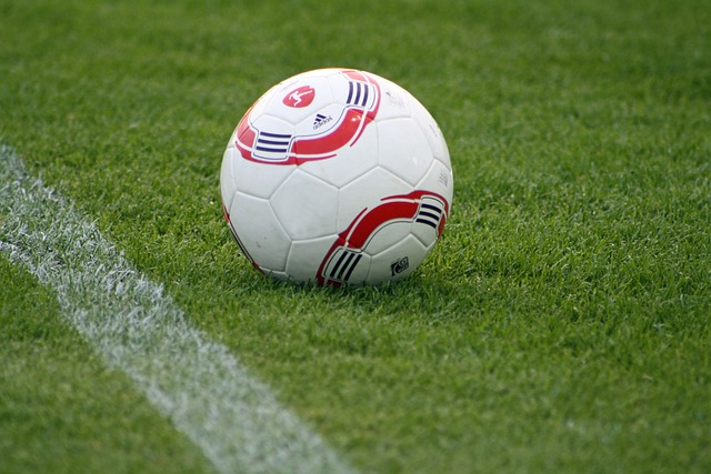 避免因个人 避免因个人