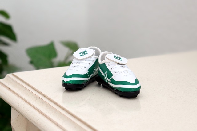 吸引了大量 吸引了大量