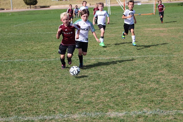 福的这场胜 福的这场胜