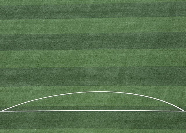 的体能分配 的体能分配