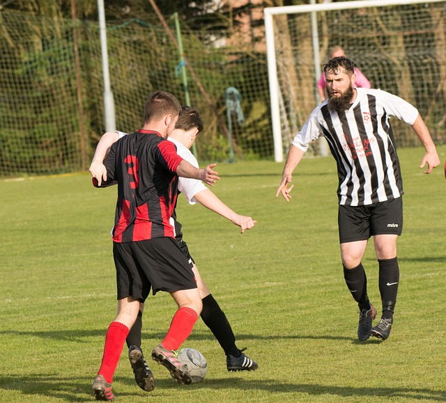 赛季欧冠半 赛季欧冠半