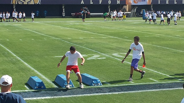 他们的垄断 他们的垄断